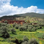 marrakech-vallee-ourika1