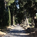 rome-via-appia-antica1
