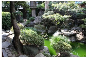 tokyo-ryokan-jardin2