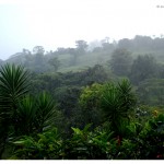 voyage-costa-rica-en-famille-nature-arenal