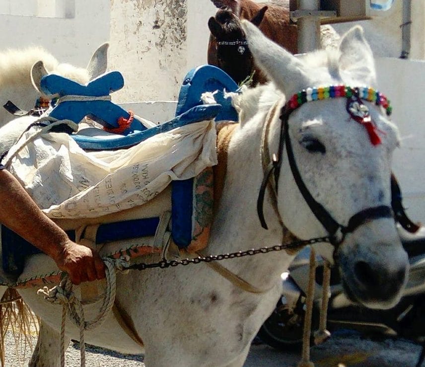 blog-voyage-famille-cyclades-santorin - Avec Mes Enfants blog-voyage-famille-cyclades-santorin - Avec Mes Enfants