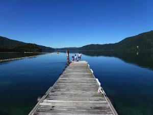 Nouvelle-zelande-en-famille-guide-pratique-blog-voyage-famille