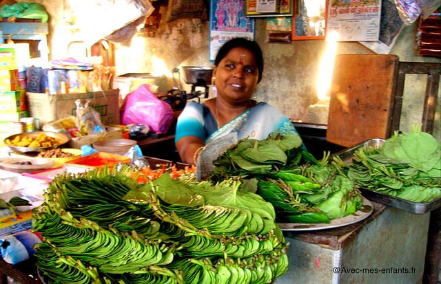 inde-en-famille-pondichery-marche-tamil-nadu - Avec Mes inde-en-famille-pondichery-marche-tamil-nadu - Avec Mes