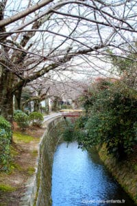 kyoto-en-famille-chemin-des-philosophes - Avec Mes Enfants kyoto-en-famille-chemin-des-philosophes - Avec Mes Enfants