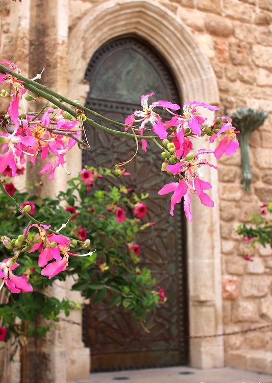 Jaffa-old-city-tel-aviv-en-famille