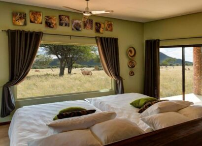 Namibie en famille Blog Voyage, Lodge safari Okonjima