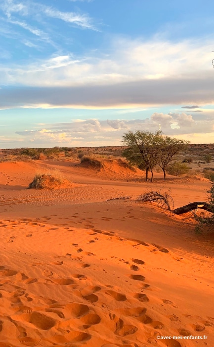 Namibie en famille blog voyage