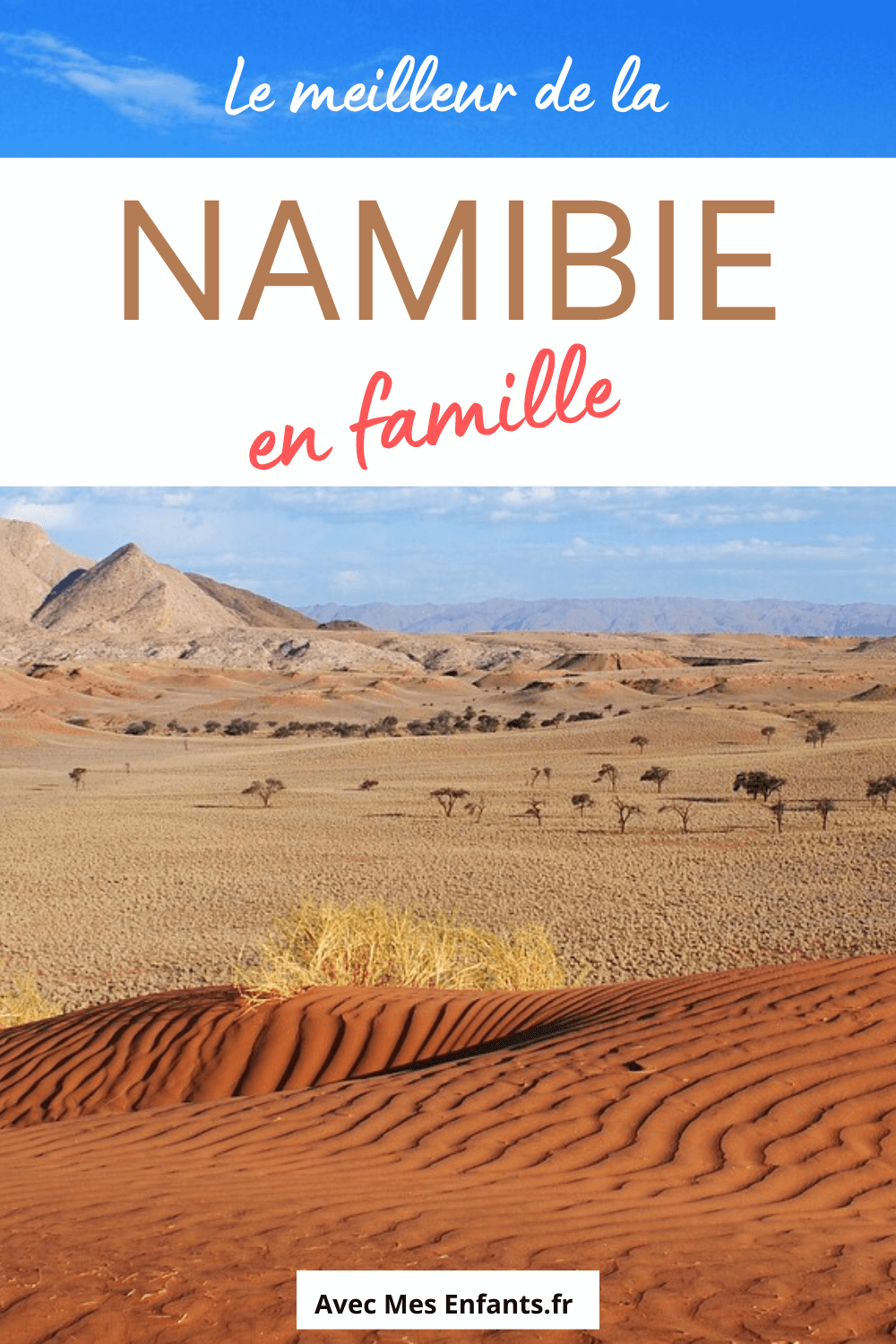 safari namibie famille