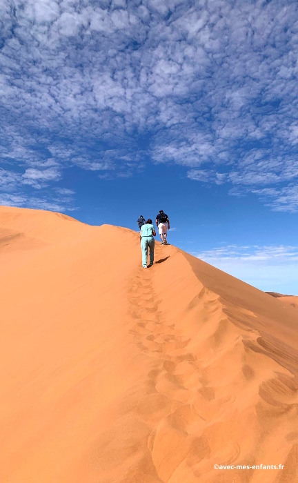 Namibie En Famille Blog Voyage Dunes