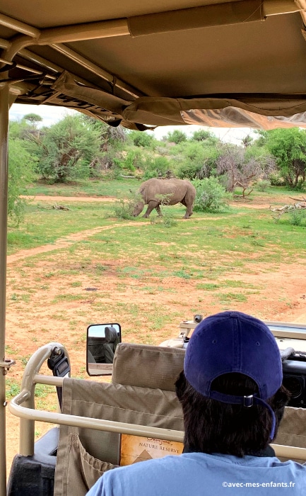 Namibie en famille blog voyage Safari Etosha